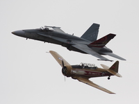 view--cf-18 hornet and t-6 texan 