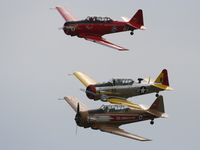 view--havard p-51 mustang and t-6 texan 