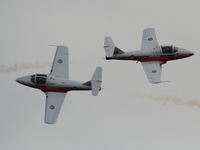 canadian forces snowbirds - two planes head on collision 