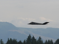 view--f-117a night hawk stealth fighter landing 