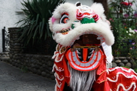 lion dance 