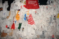 plastic bag pollution 