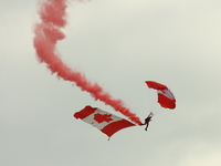 20080810115559_canadian_royal_air_force_skyhawk_paratroop