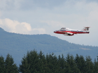 snowbird Abbotsford, British Columbia, Canada, North America