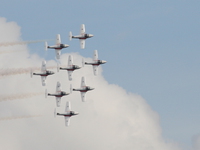 snowbirds Abbotsford, British Columbia, Canada, North America