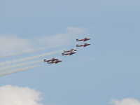 snowbirds Abbotsford, British Columbia, Canada, North America