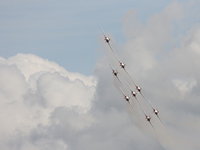 snowbirds Abbotsford, British Columbia, Canada, North America