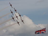 snowbirds Abbotsford, British Columbia, Canada, North America