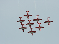 snowbirds Abbotsford, British Columbia, Canada, North America