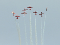 snowbirds Abbotsford, British Columbia, Canada, North America