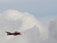 snowbirds Abbotsford, British Columbia, Canada, North America