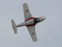 snowbirds Abbotsford, British Columbia, Canada, North America