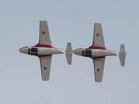 snowbirds Abbotsford, British Columbia, Canada, North America