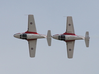 snowbirds Abbotsford, British Columbia, Canada, North America