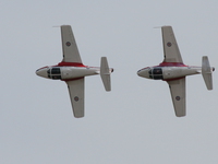 snowbirds Abbotsford, British Columbia, Canada, North America