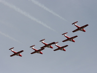 snowbirds Abbotsford, British Columbia, Canada, North America