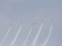 snowbirds Abbotsford, British Columbia, Canada, North America