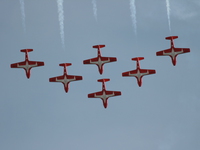 snowbirds Abbotsford, British Columbia, Canada, North America