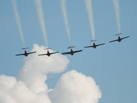 snowbirds Abbotsford, British Columbia, Canada, North America