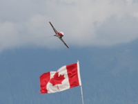 snowbirds Abbotsford, British Columbia, Canada, North America