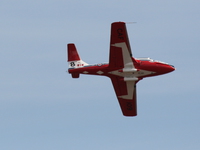 snowbirds Abbotsford, British Columbia, Canada, North America