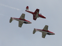 snowbirds Abbotsford, British Columbia, Canada, North America