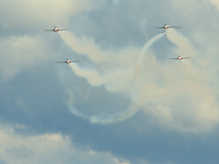 snowbirds Abbotsford, British Columbia, Canada, North America