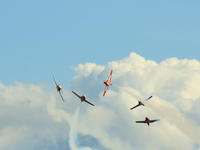 snowbirds Abbotsford, British Columbia, Canada, North America