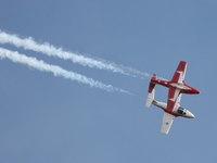 snowbirds Abbotsford, British Columbia, Canada, North America