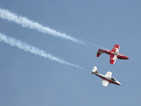 snowbirds Abbotsford, British Columbia, Canada, North America