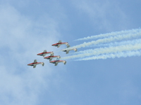 snowbirds Abbotsford, British Columbia, Canada, North America