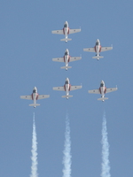 snowbirds Abbotsford, British Columbia, Canada, North America