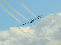 snowbirds Abbotsford, British Columbia, Canada, North America