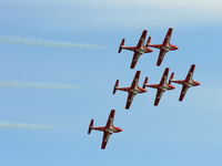 snowbirds Abbotsford, British Columbia, Canada, North America