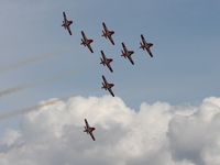 snowbirds Abbotsford, British Columbia, Canada, North America