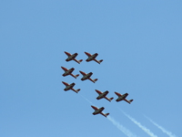 snowbirds Abbotsford, British Columbia, Canada, North America