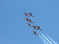 snowbirds Abbotsford, British Columbia, Canada, North America