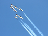 snowbirds Abbotsford, British Columbia, Canada, North America