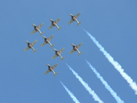 snowbirds Abbotsford, British Columbia, Canada, North America