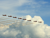 snowbirds Abbotsford, British Columbia, Canada, North America