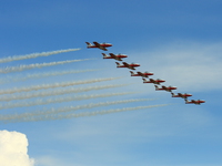 snowbirds Abbotsford, British Columbia, Canada, North America