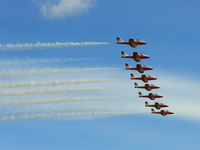 snowbirds Abbotsford, British Columbia, Canada, North America