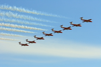 snowbirds Abbotsford, British Columbia, Canada, North America