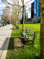 vancouver coal harbour benches Vancouver, British Columbia, Canada, North America