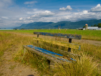 farm bench Abbotsford, British Columbia, Canada, North America