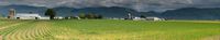 view--farm paranoma Abbotsford, British Columbia, Canada, North America
