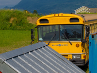 blue bird school bus Abbotsford, British Columbia, Canada, North America