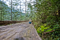 Bunzen Lake Sony Nex Hello Kitty Abbotsdord, British Columbia, Canada, North America