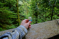 Bunzen Lake Sony Nex Hello Kitty Abbotsdord, British Columbia, Canada, North America