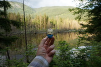 Bunzen Lake Sony Nex Hello Kitty Abbotsdord, British Columbia, Canada, North America